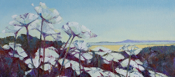 Cows Parsley Hampshire | 2020 | Oil on Canvas | 36 x 51 cm